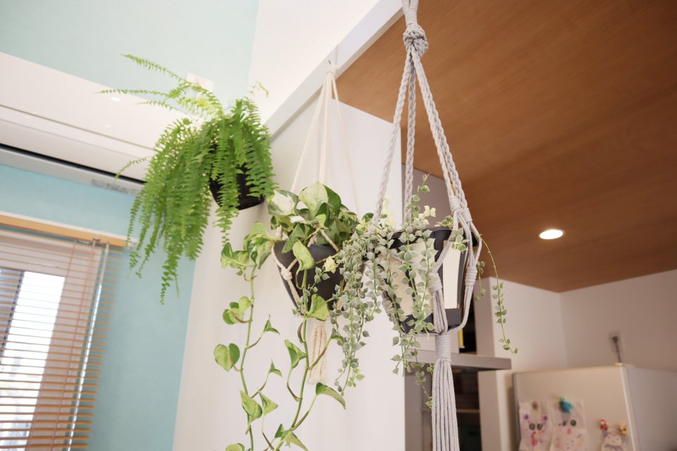 Q. 室内でのお気に入りの過ごし方を教えてください。