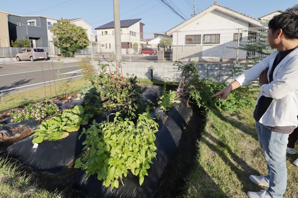 Q. お庭での家庭菜園がとても本格的ですね！